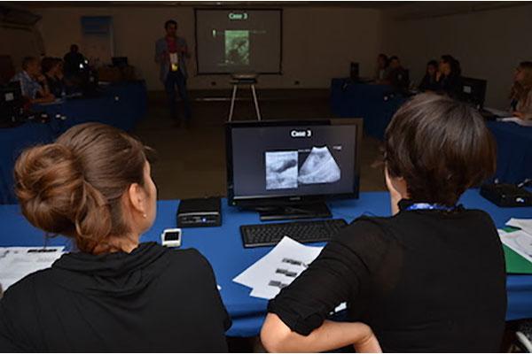 ltimas plazas para la formacin prctica talleres avepa sobre interpretacin del tac ltimas plazas para la formacin prctica talleres avepa sobre interpretacin del tac