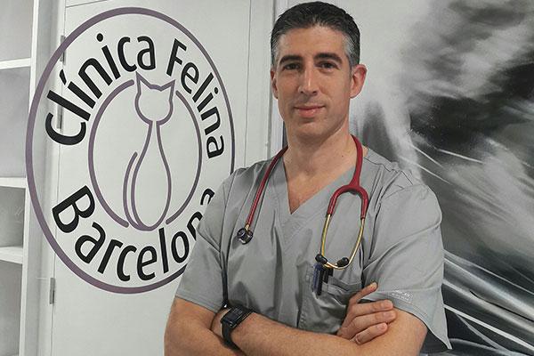 se viene diciendo que la medicina felina es el futuro pero tengo la impresin de que es el presente se viene diciendo que la medicina felina es el futuro pero tengo la impresin de que es el presente