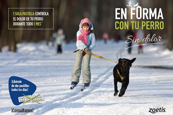 en-forma-con-tu-perr