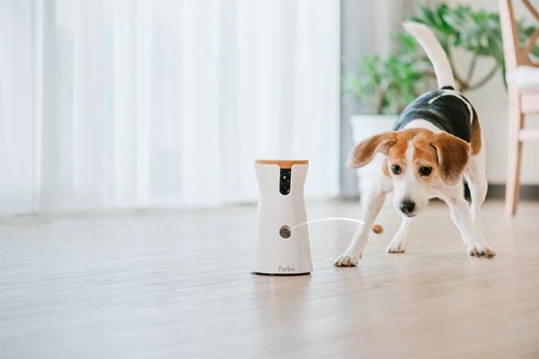 llega-a-espana-furbo-la-camara-para-perros