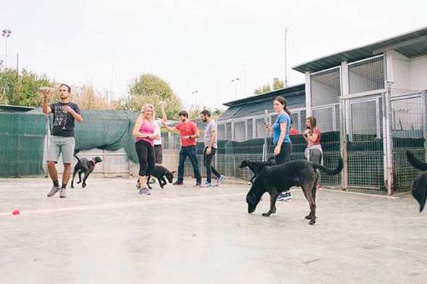 mascoteros dona 1 euro por cada compra realizada durante el da mundial de los animales mascoteros dona 1 euro por cada compra realizada durante el da mundial de los animales
