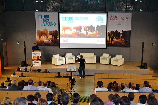 ms 300 profesionales de vacuno de carne de espaa y portugal debaten aspectos claves sobre su futuro ms 300 profesionales de vacuno de carne de espaa y portugal debaten aspectos claves sobre su futuro