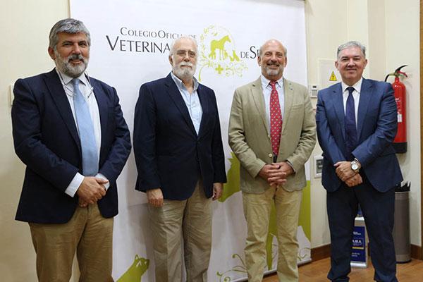 el subdelegado de gobierno trasladar a hacienda la reclamacin del cov sevilla para bajar el iva el subdelegado de gobierno trasladar a hacienda la reclamacin del cov sevilla para bajar el iva
