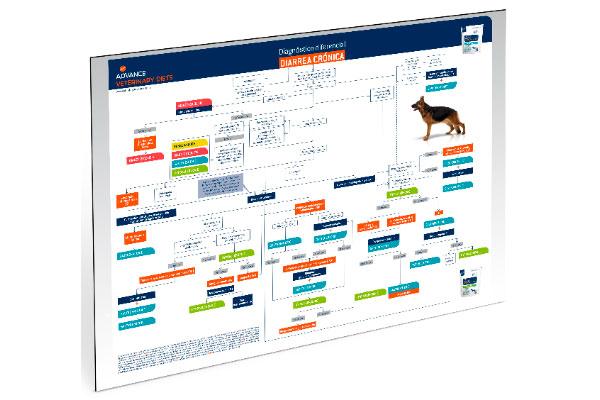 affinity ofrece el poster gratuito diagnstico diferencial de las diarreas caninas affinity ofrece el poster gratuito diagnstico diferencial de las diarreas caninas