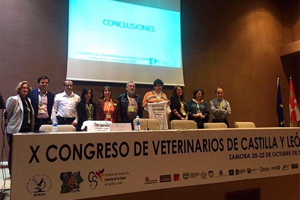 el x congreso de veterinarios de cyl reclama un trato de igualdad con los profesionales sanitarios el x congreso de veterinarios de cyl reclama un trato de igualdad con los profesionales sanitarios