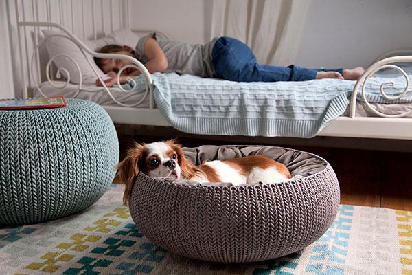 cozy pet home y cozy pet bed de curver los mejores regalos de reyes para tus mascotas cozy pet home y cozy pet bed de curver los mejores regalos de reyes para tus mascotas