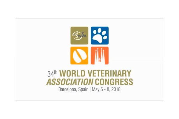 el rey felipe vi recibe a representantes de la wva y de la organizacin veterinaria colegial espaola el rey felipe vi recibe a representantes de la wva y de la organizacin veterinaria colegial espaola