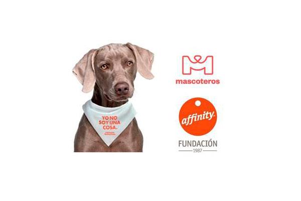 fundacin affinity y mascoteros unen fuerzas para que los animales dejen de considerarse cosas fundacin affinity y mascoteros unen fuerzas para que los animales dejen de considerarse cosas