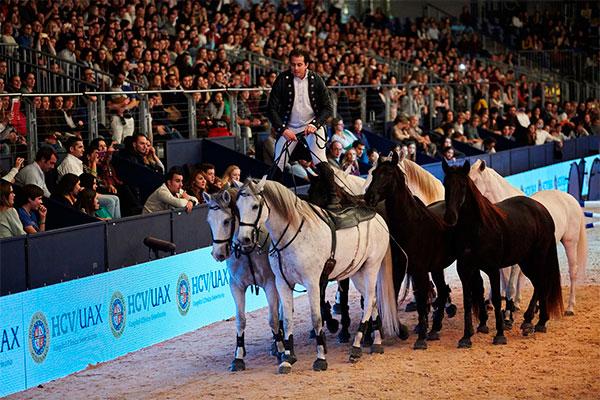 madrid horse week tambin se ocupa de prevenir las lesiones de los messi de la hpica madrid horse week tambin se ocupa de prevenir las lesiones de los messi de la hpica