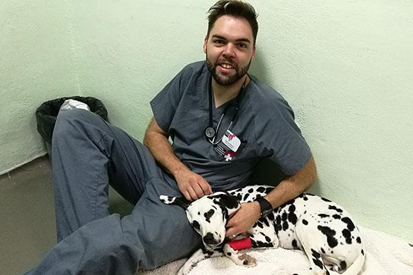 la terapia celular ofrece un abordaje novedoso y de un extraordinario potencial teraputico la terapia celular ofrece un abordaje novedoso y de un extraordinario potencial teraputico