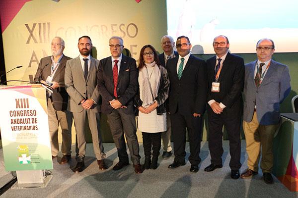 el xiii congreso andaluz de veterinarios reuni a ms de 700 especialistas en animales de compaa el xiii congreso andaluz de veterinarios reuni a ms de 700 especialistas en animales de compaa