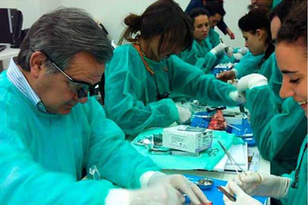 cientfica y tecnolgicamente estamos al mismo nivel que la odontologa humana cientfica y tecnolgicamente estamos al mismo nivel que la odontologa humana