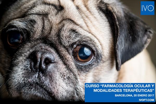 el ivonbspimparte el cursonbspfarmacologa ocular y modalidades teraputicas en oftalmologa veterinaria el ivonbspimparte el cursonbspfarmacologa ocular y modalidades teraputicas en oftalmologa veterinaria