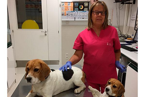 nos proponemos impulsar el conocimiento cientfico y promover la profesionalidad de los veterinarios nos proponemos impulsar el conocimiento cientfico y promover la profesionalidad de los veterinarios