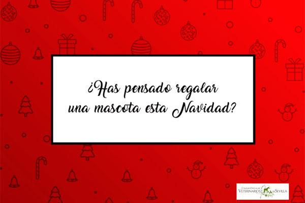 el cov de sevilla ofrece una gua prctica a seguir antes de regalar mascotas esta navidad el cov de sevilla ofrece una gua prctica a seguir antes de regalar mascotas esta navidad