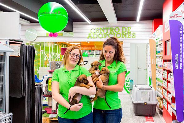 tiendanimal el nuevo marco jurdico supone un paso adelante pero an queda mucho por hacer tiendanimal el nuevo marco jurdico supone un paso adelante pero an queda mucho por hacer