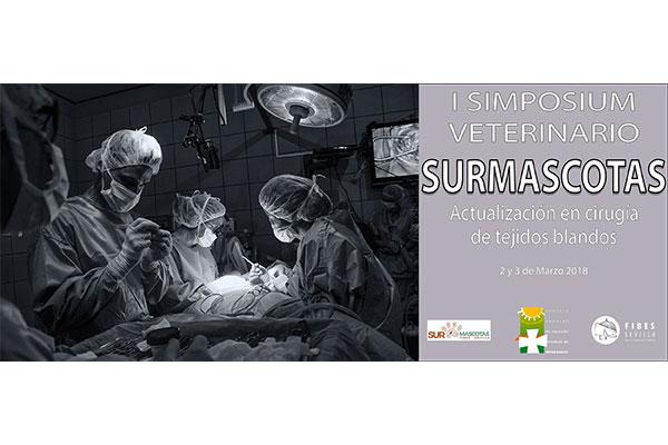 actualizacion-en-cir
