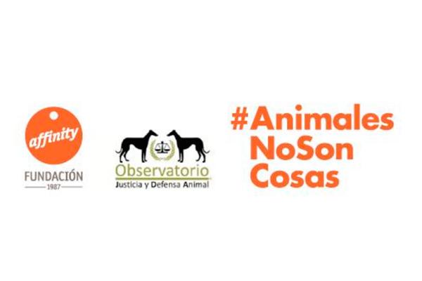 los colegios de abogados secundan que los animales dejen de ser cosas en el cdigo civil los colegios de abogados secundan que los animales dejen de ser cosas en el cdigo civil