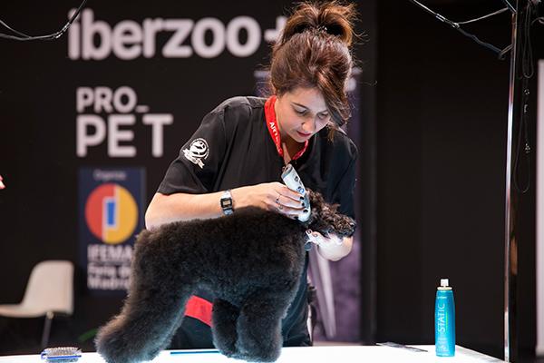 ya se conoce el programa de iberzoopropet 2018 ya se conoce el programa de iberzoopropet 2018
