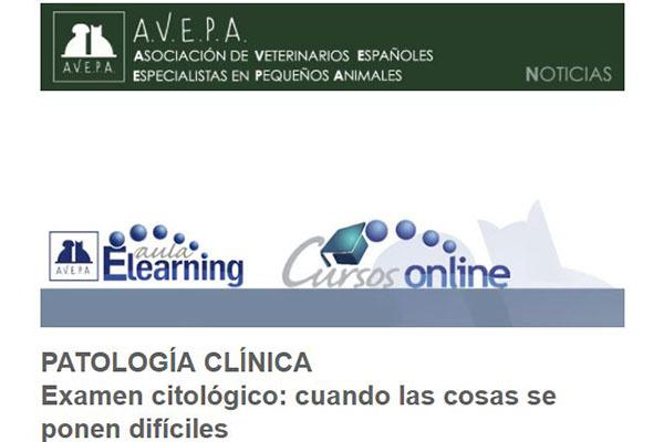 examen citolgiconbspcuando las cosas se ponen difciles nuevo curso online de avepa examen citolgiconbspcuando las cosas se ponen difciles nuevo curso online de avepa