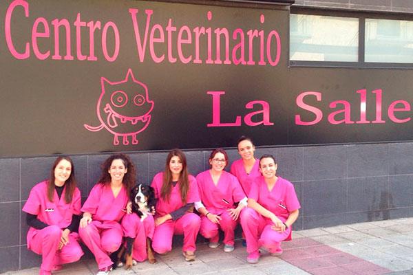 hemos-incorporado-un