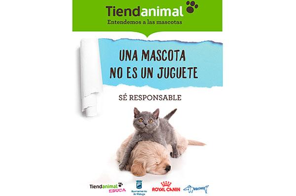 mlaga la ciudad ms solidaria con los animales esta navidad mlaga la ciudad ms solidaria con los animales esta navidad