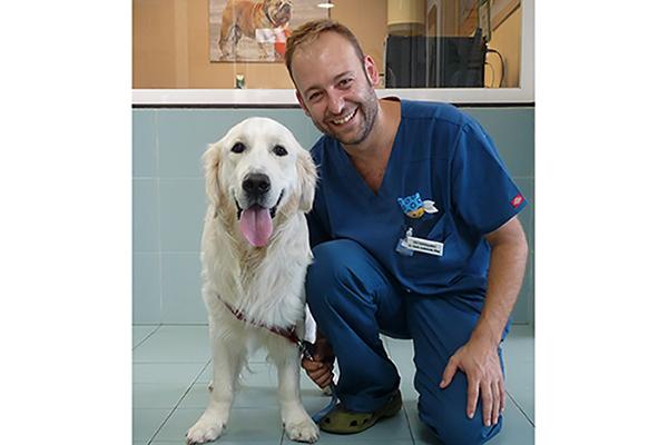 la medicina preventiva es mucho mejor para el animal y mucho ms barato para el bolsillo del propietario la medicina preventiva es mucho mejor para el animal y mucho ms barato para el bolsillo del propietario