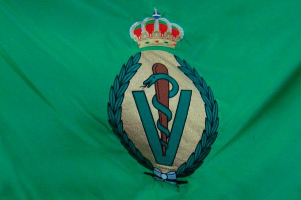 la-real-academia-de-