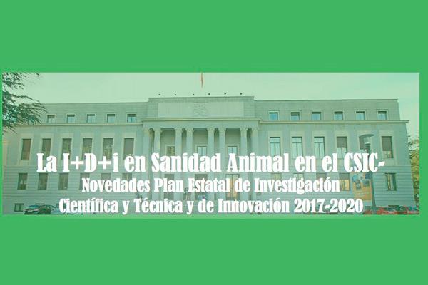 la-fundacion-veti-y-