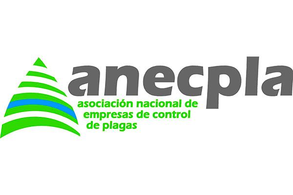 la-importancia-de-la