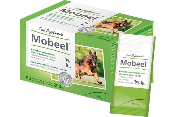 mobeel-la-ayuda-para