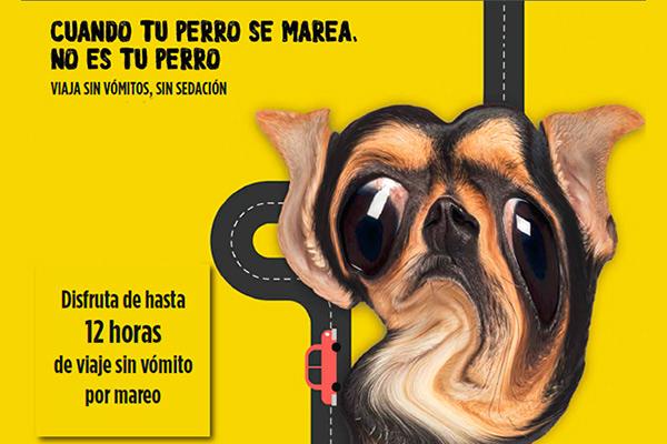 con-cerenia-tu-perro