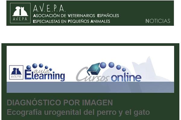 ecografa urogenital del perro y el gato nuevo curso online de avepa ecografa urogenital del perro y el gato nuevo curso online de avepa