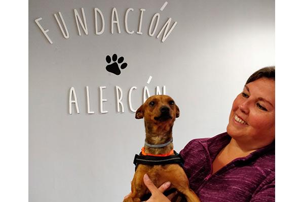 fundacin alercn ya cuenta con cinco perros para la deteccin de hipoglucemias fundacin alercn ya cuenta con cinco perros para la deteccin de hipoglucemias