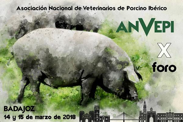 presentado el x foro anvepi presentado el x foro anvepi