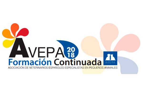 avepa organiza un curso de traumatologa en barcelona avepa organiza un curso de traumatologa en barcelona