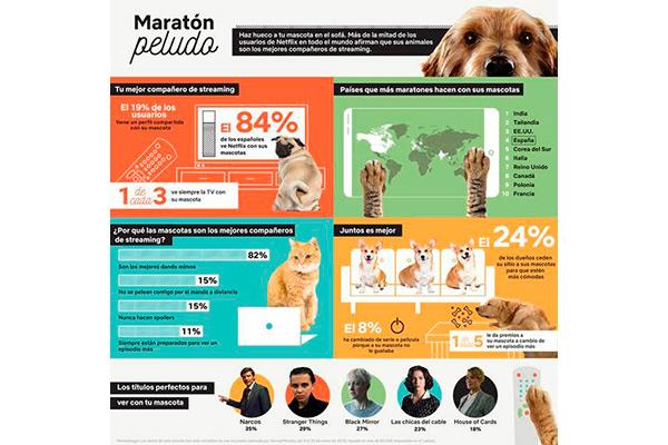 los mejores acompaantesnbsppara ver series son las mascotas los mejores acompaantesnbsppara ver series son las mascotas