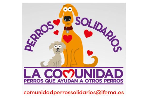 nace la comunidad perros solidarios de la mano de 100x100 mascota nace la comunidad perros solidarios de la mano de 100x100 mascota