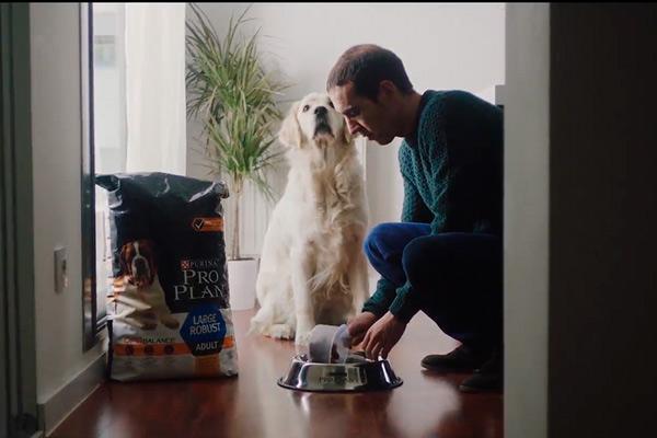 purina pro plan colabora con la fundacin once del perro gua purina pro plan colabora con la fundacin once del perro gua