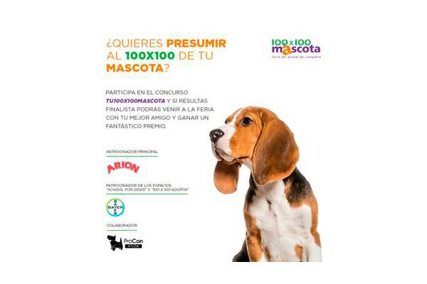 vuelve el concurso tu 100x100 mascota vuelve el concurso tu 100x100 mascota