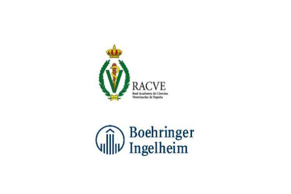 abierta la convocatoria para participar en el premio boehringer ingelheim a la divulgacin cientfica abierta la convocatoria para participar en el premio boehringer ingelheim a la divulgacin cientfica