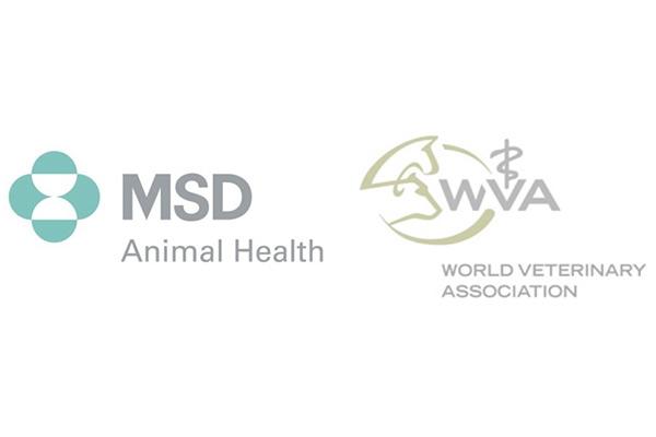 msd animal health y wva becan a 41 estudiantes de veterinaria msd animal health y wva becan a 41 estudiantes de veterinaria
