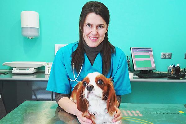 apostamos por dos pilares bsicos el ofrecimiento de una especialidad y la medicina preventiva como hilo conductor apostamos por dos pilares bsicos el ofrecimiento de una especialidad y la medicina preventiva como hilo conductor