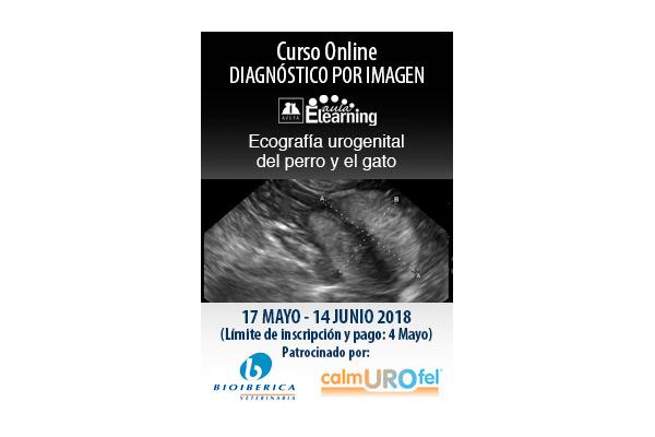 avepa organiza el curso online diagnstico por imagen avepa organiza el curso online diagnstico por imagen