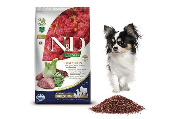 farmina incorpora quinoa en la alimentacin canina farmina incorpora quinoa en la alimentacin canina