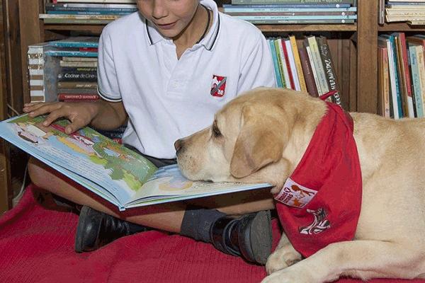 perros-y-letras-cuan