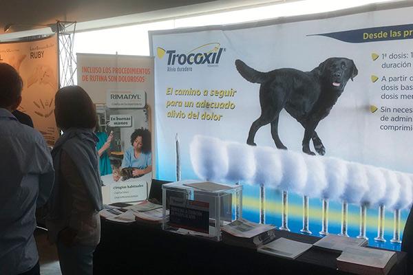trocoxilsupsup protagoniza un ao ms las jornadas gevo trocoxilsupsup protagoniza un ao ms las jornadas gevo