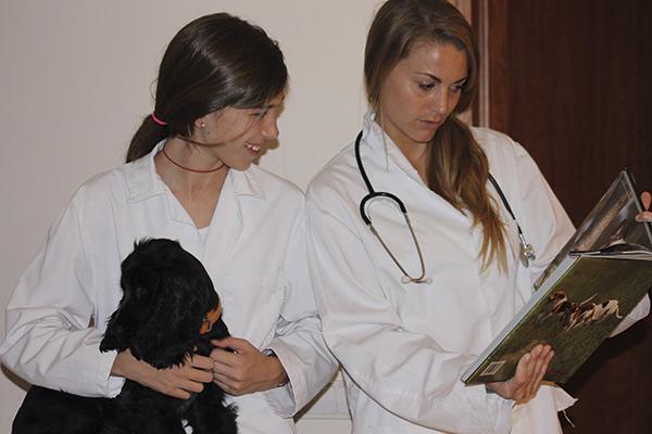 vetformacion-la-plat