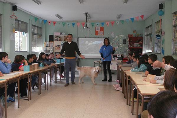 el cov de asturias vela por el bienestar animal y la tenencia responsable de mascotas el cov de asturias vela por el bienestar animal y la tenencia responsable de mascotas
