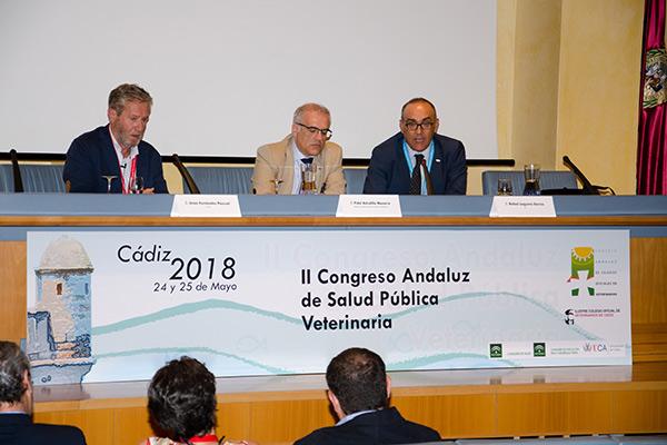 ii congreso andaluz de salud pblica veterinaria conclusiones cientficas ii congreso andaluz de salud pblica veterinaria conclusiones cientficas